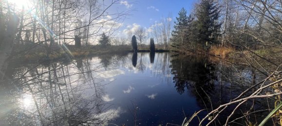 Grundstück in Missy-les-Pierrepont, France 6422m², Nr. 44616 15