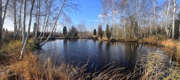 Grundstück in Missy-les-Pierrepont, France 6422m², Nr. 44616 10