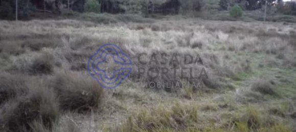  قطعة أرض في Faro, Portugal رقم 55215 2