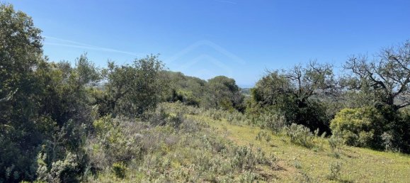 4840m² Land in Ferreiras, Portugal No. 60270 7