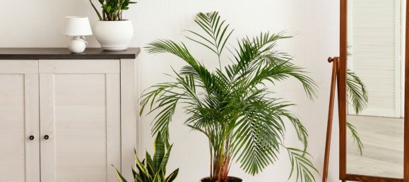 500m² Commercial property in Trentino-Alto Adige, Italy No. 137678 11