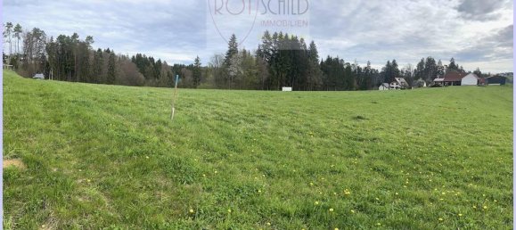 Grundstück in Stainz, Austria, Nr. 41627 5