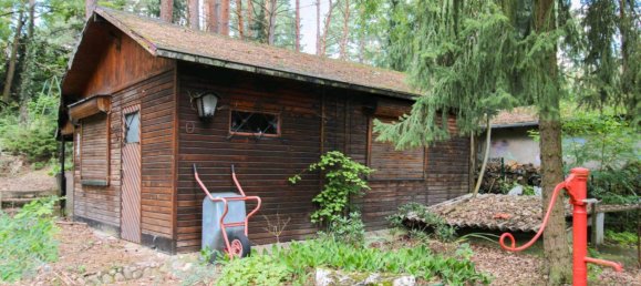 Terrain à Dahme-Spreewald, Germany No. 233839 9