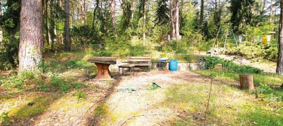 Terrain à Dahme-Spreewald, Germany No. 233839 12