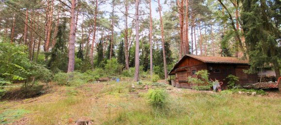 Terrain à Dahme-Spreewald, Germany No. 233839 2
