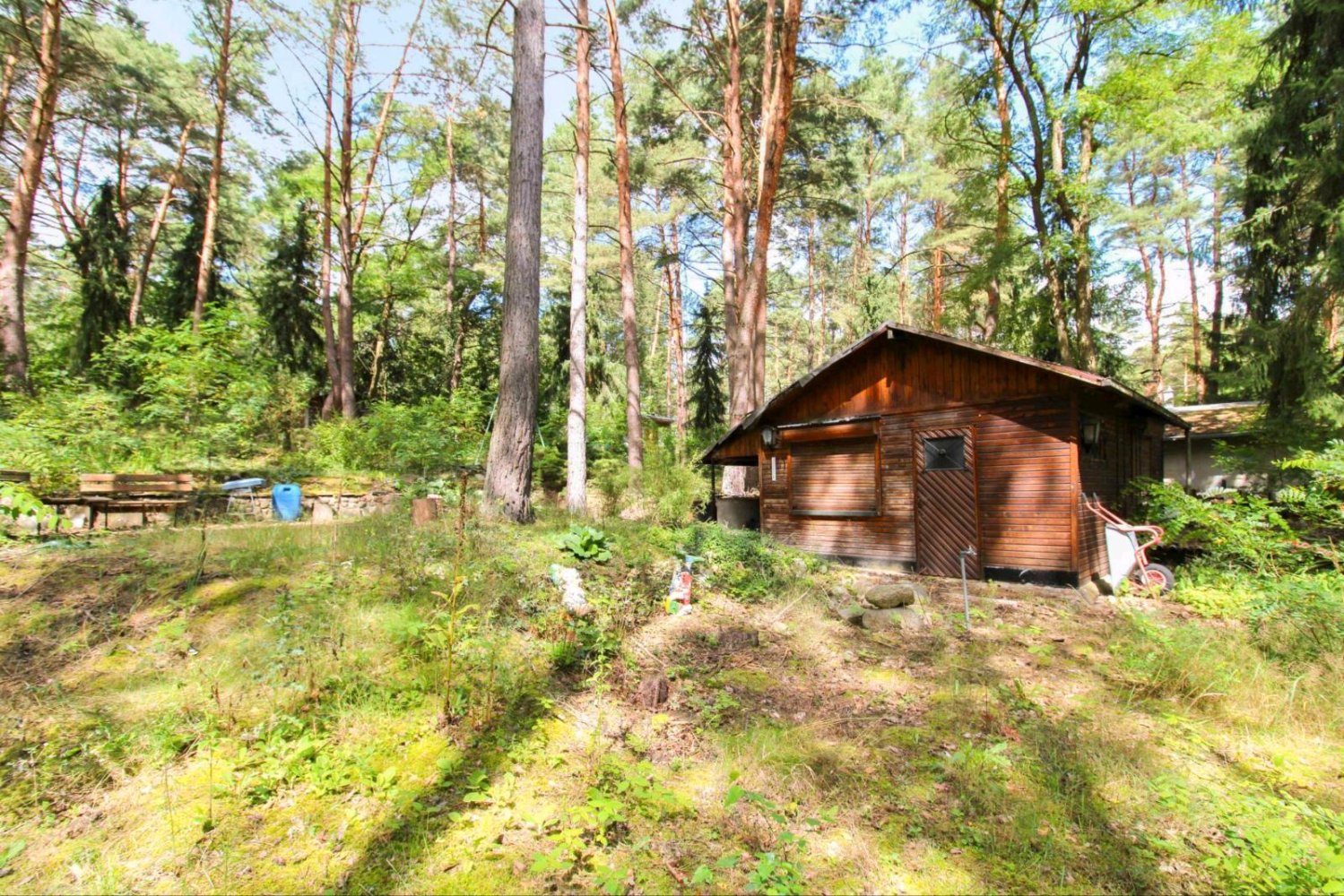 Terrain à Dahme-Spreewald, Germany No. 233839
