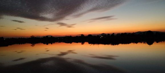 5-Zimmer Stadthaus in Münchendorf, Austria, Nr. 219503 26