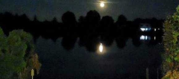 5-Zimmer Stadthaus in Münchendorf, Austria, Nr. 219503 30