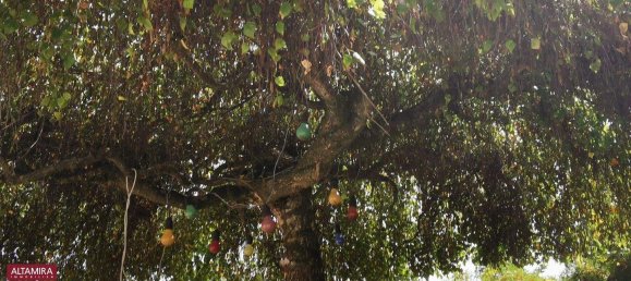 5-Zimmer Stadthaus in Münchendorf, Austria, Nr. 219503 23