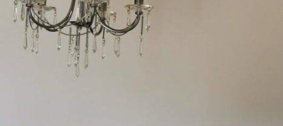 5-Zimmer Stadthaus in Münchendorf, Austria, Nr. 219503 18