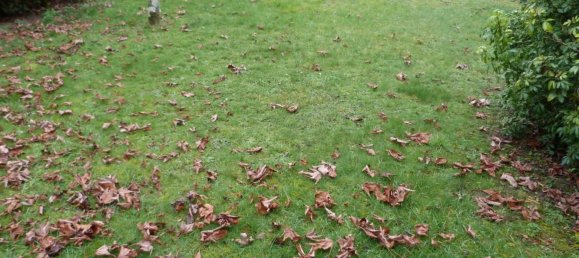 Casa de 5 dormitorios en Vierzon, France No. 40852 5