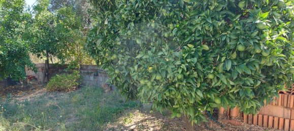 Casa de 3 dormitorios en Mouriscas, Portugal No. 20423 15