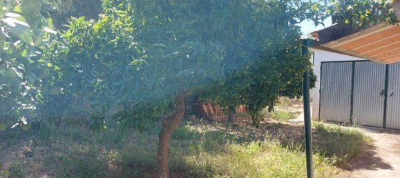 Casa de 3 dormitorios en Mouriscas, Portugal No. 20423 13