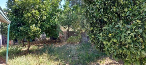 Casa de 3 dormitorios en Mouriscas, Portugal No. 20423 14