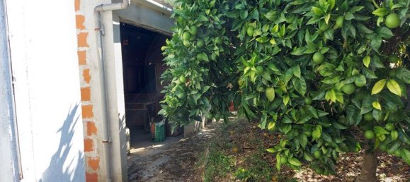 Casa de 3 dormitorios en Mouriscas, Portugal No. 20423 12