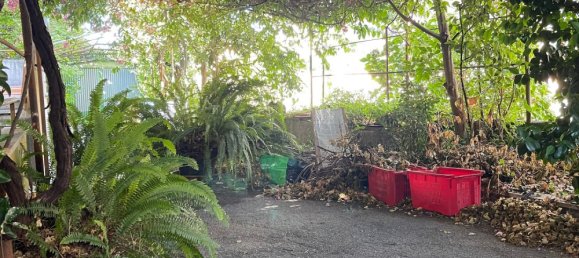 6 bedrooms Villa in Sestri Levante, Italy No. 335539 4