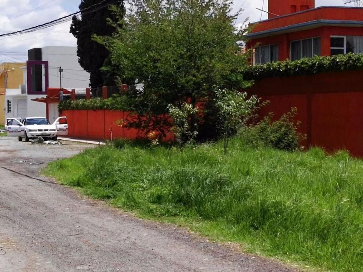  Land in Mexico No. 205776