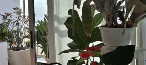 3 bedrooms Apartment in Ospedaletti, Italy No. 223938 12