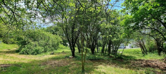 Terrain à Klosterneuburg, Austria No. 108579 2