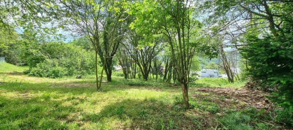 Terrain à Klosterneuburg, Austria No. 108579 7