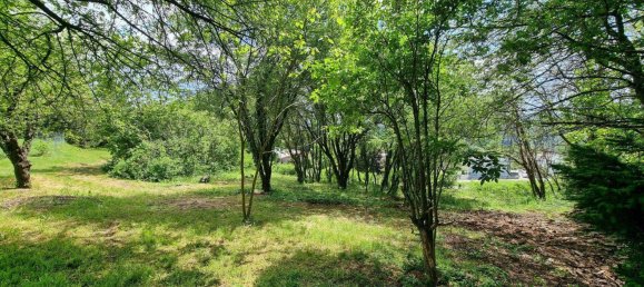 Terrain à Klosterneuburg, Austria No. 108579 4