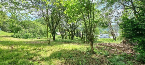 Terrain à Klosterneuburg, Austria No. 108579 6