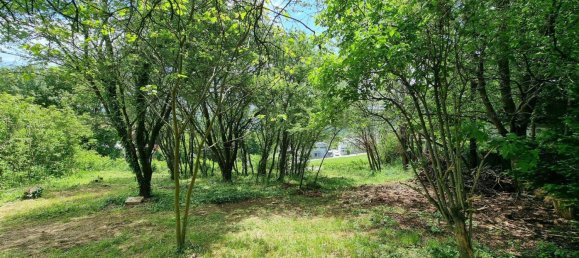 Terrain à Klosterneuburg, Austria No. 108579 3