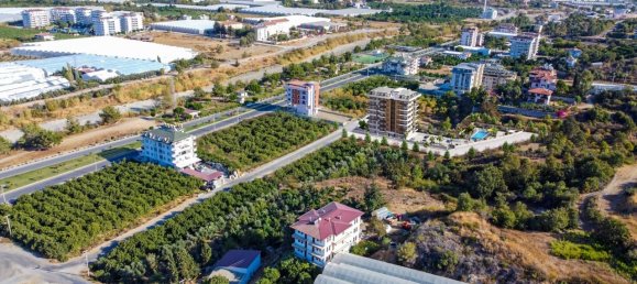 Apartment 1+1 in Demirtas, Turkey No. 31278 6