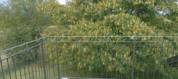 Edificio en Caselle Torinese, Italy 535 m² No. 95179 8