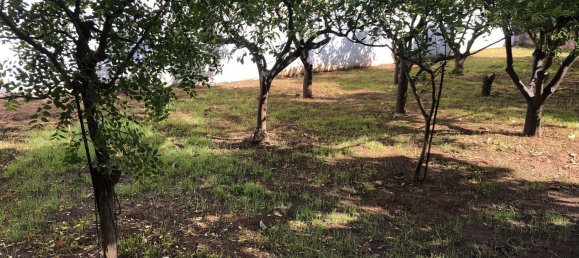Casa de 6 habitaciónes en San Pietro Vernotico, Italy No. 289249 5