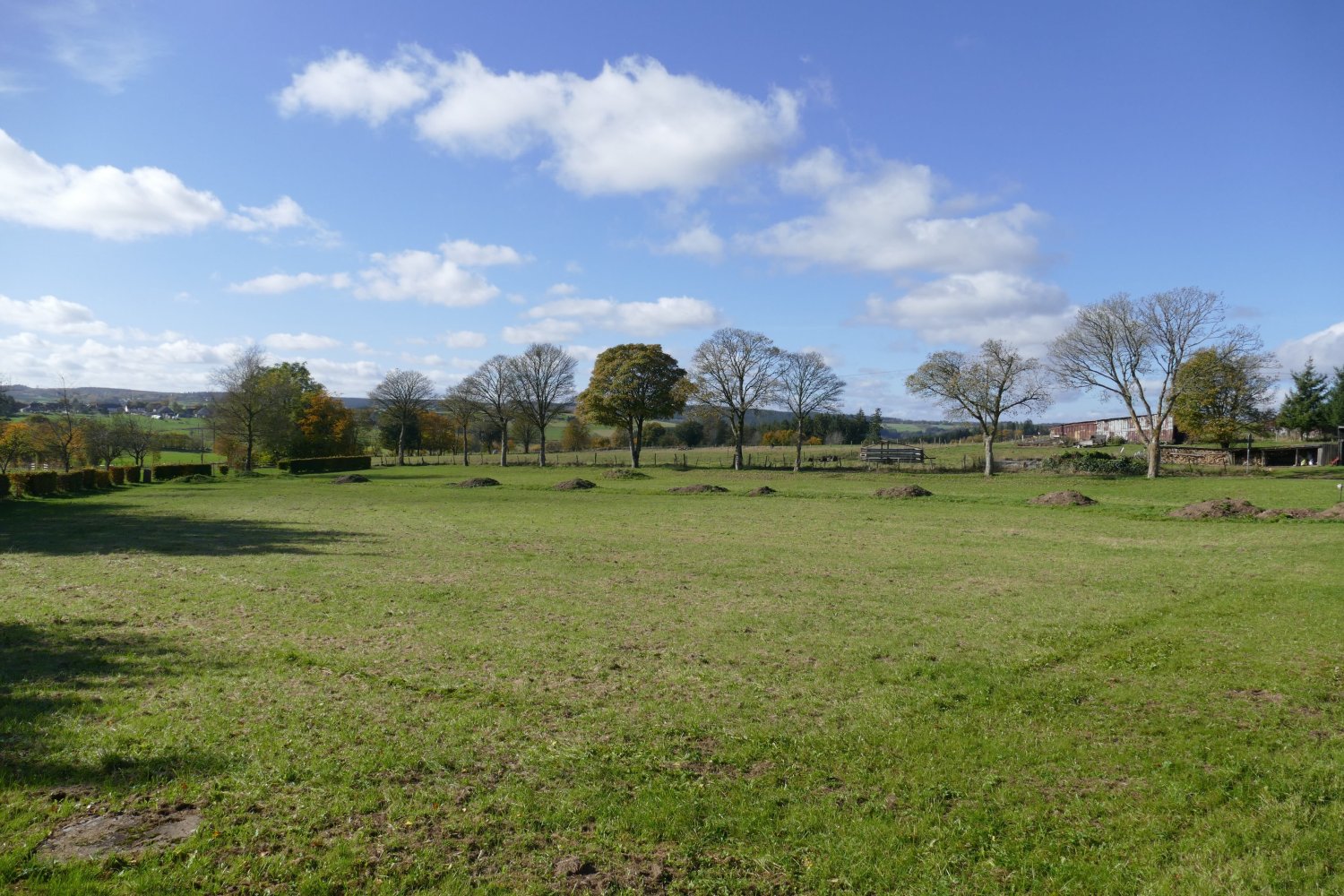 2-Zimmer Wohnung in Euskirchen, Germany, Nr. 190129