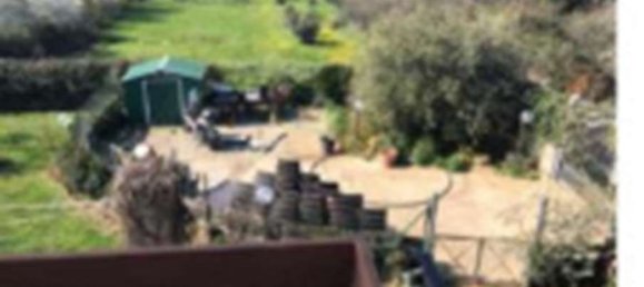 4-Zimmer Villa in Zagarolo, Italy, Nr. 14972 7