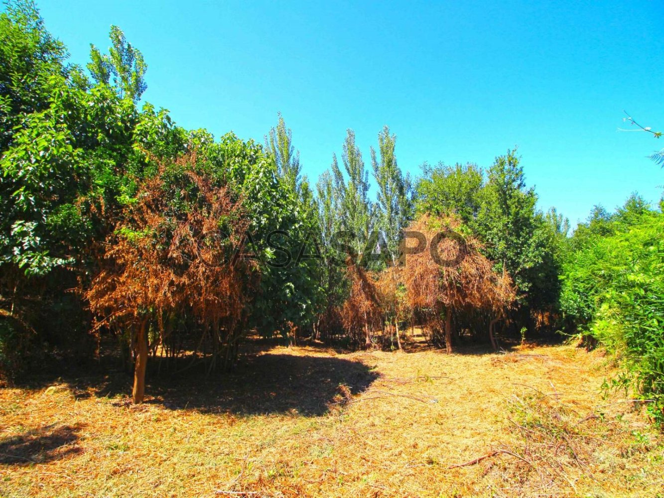 3 bedrooms House in Tarouquela, Portugal No. 287714