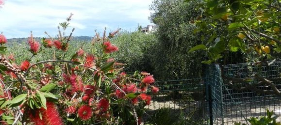 Casa de 15 divisões em Bordighera, Italy N.º 177051 4