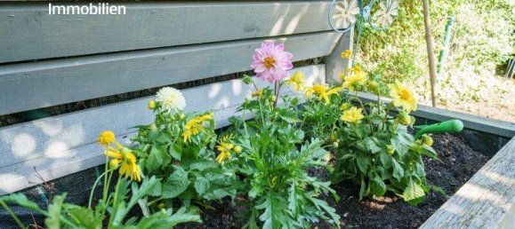 4 rooms Townhouse in Seefeld-Kadolz, Austria No. 172575 18