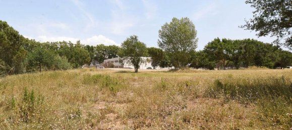 83919m² Land in Llica De Vall, Spain No. 161625 38
