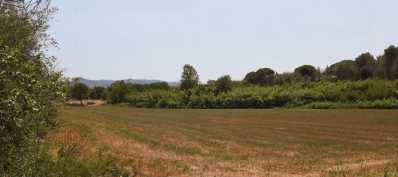 83919m² Land in Llica De Vall, Spain No. 161625 15