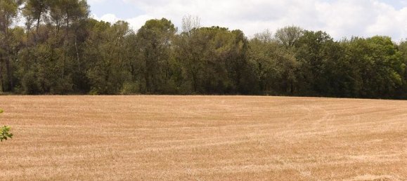 83919m² Land in Llica De Vall, Spain No. 161625 24