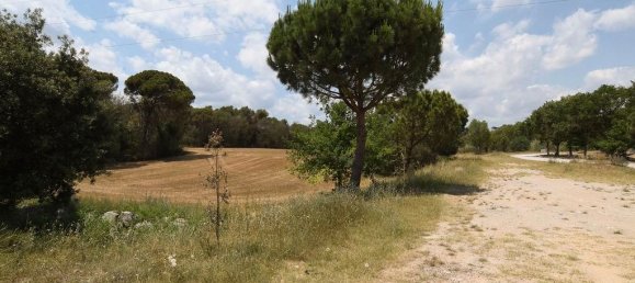 83919m² Land in Llica De Vall, Spain No. 161625 5
