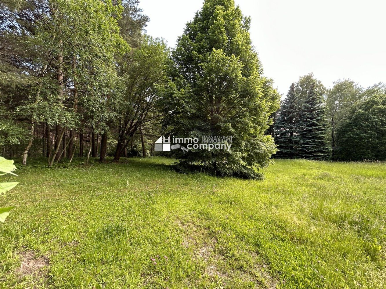  Land in Hollenthon, Austria No. 192641