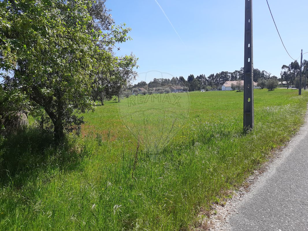 Casa de 4 dormitorios en Pombal, Portugal No. 183761