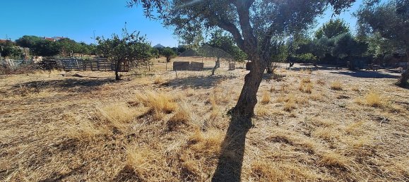 Casa T4 em Castelo Branco, Portugal N.º 43865 15