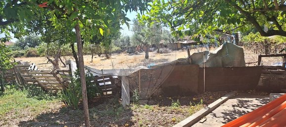 Casa T4 em Castelo Branco, Portugal N.º 43865 19