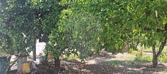 Casa T4 em Castelo Branco, Portugal N.º 43865 18