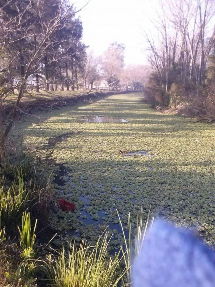  Land in Tigre, Argentina No. 39598