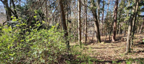 Land in Andritz, Austria No. 13907 6