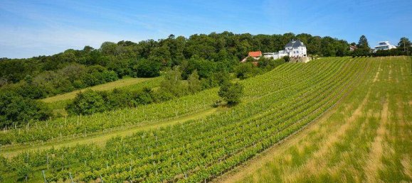 6 rooms House in Maria Enzersdorf, Austria No. 93230 21