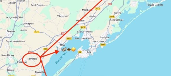 3 bedrooms House in Pomerols, France No. 185829 21