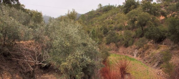 3 bedrooms Land in Monchique, Portugal No. 253489 9