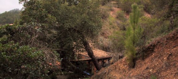 3 bedrooms Land in Monchique, Portugal No. 253489 12